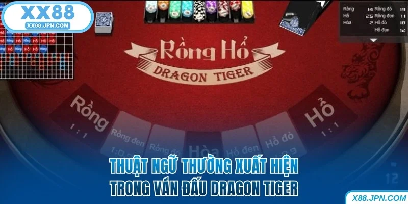 Thuật ngữ thường xuất hiện trong ván đấu Dragon Tiger XX88